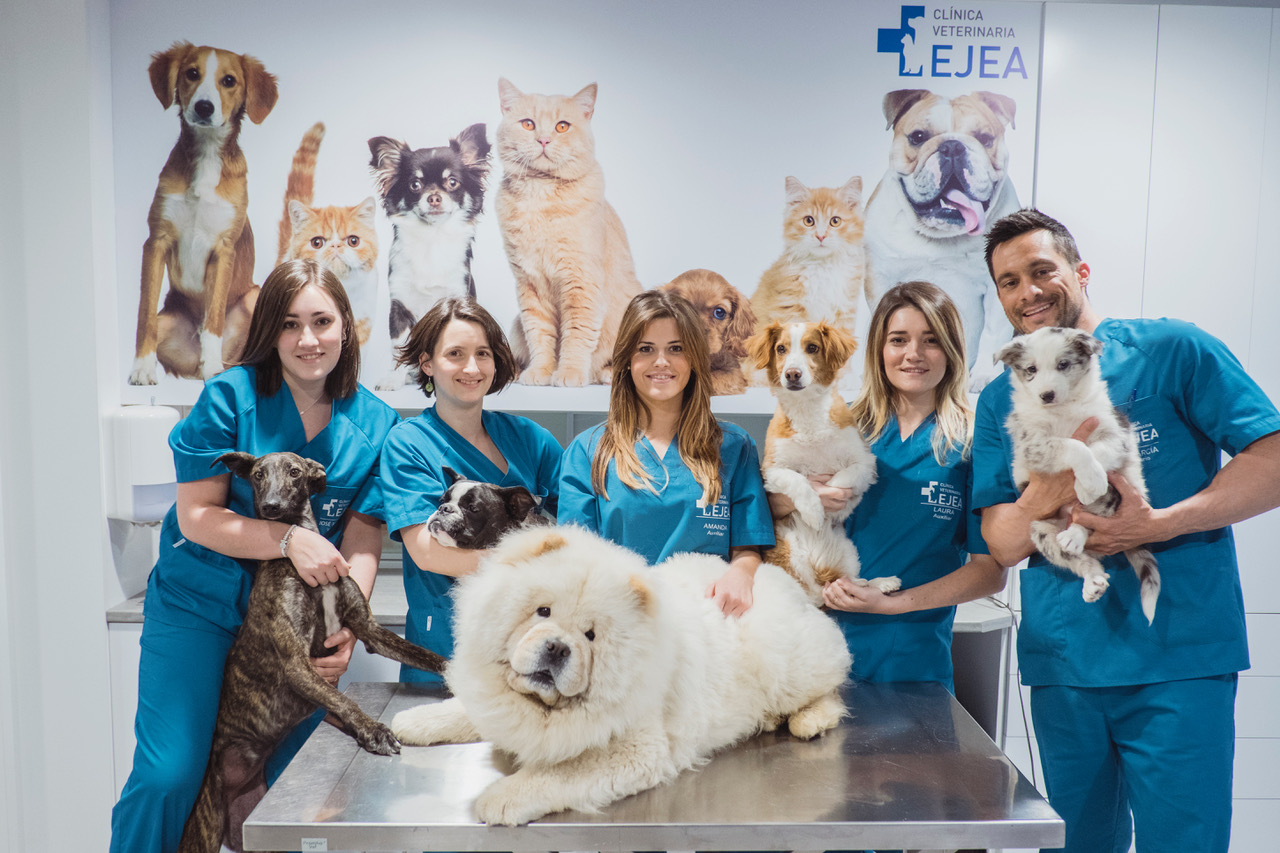 Doctores veterinaria